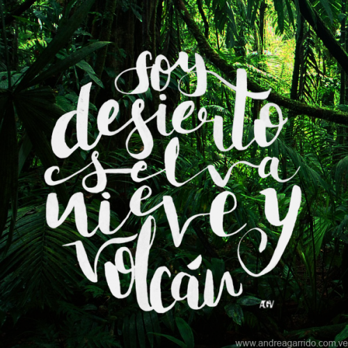 Desierto selva volcan Andrea Garrido V AGV